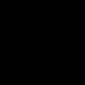 Meet your Posher, Madi